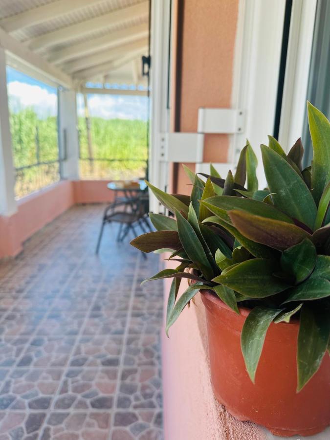 Venetian Gem Central Corfu Retreat 卡诺尼 外观 照片