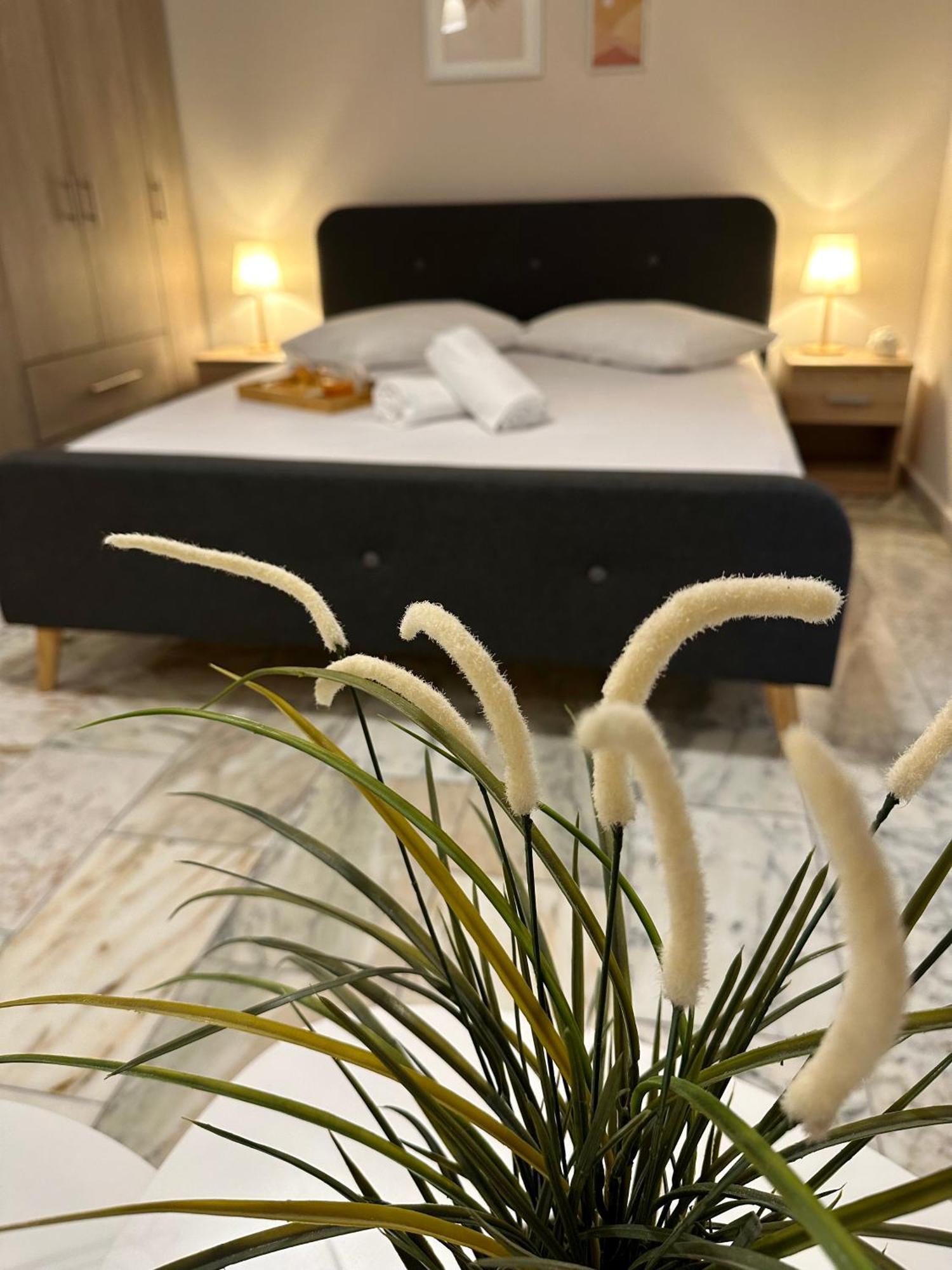 Venetian Gem Central Corfu Retreat 卡诺尼 外观 照片